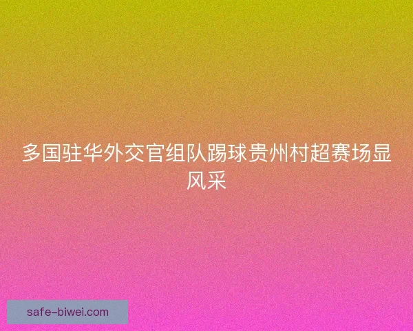 多国驻华外交官组队踢球贵州村超赛场显风采